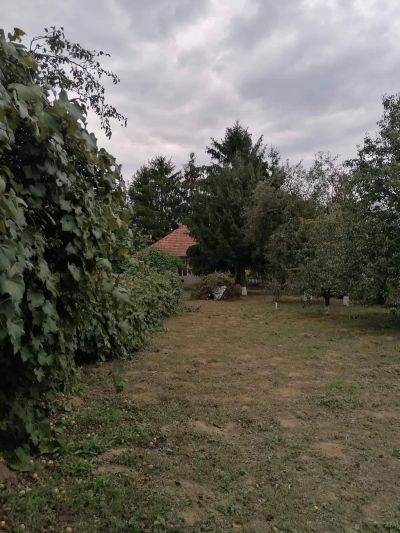 Ponúkame Vám na predaj rodinný dom v obci Pere - Maďarsko - 9
