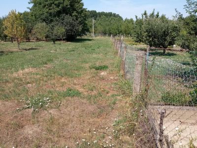 Ponúkame Vám na predaj lukratívny pozemok v obci Gibárt -Maďarsko - 1