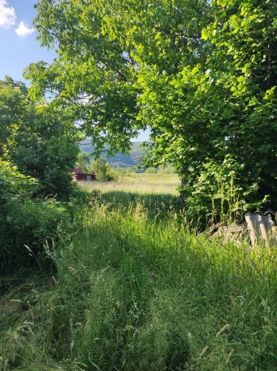 Ponúkame Vám na predaj pozemok s rodinným domom v obci Hídvégardó - Maďarsko - 11