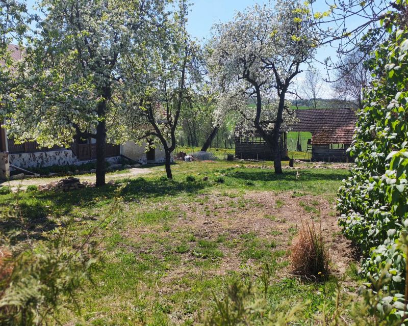 Ponúkam Vám na predaj rodinný vidiecky dom v  obci Becskeháza – Maďarsko - 24