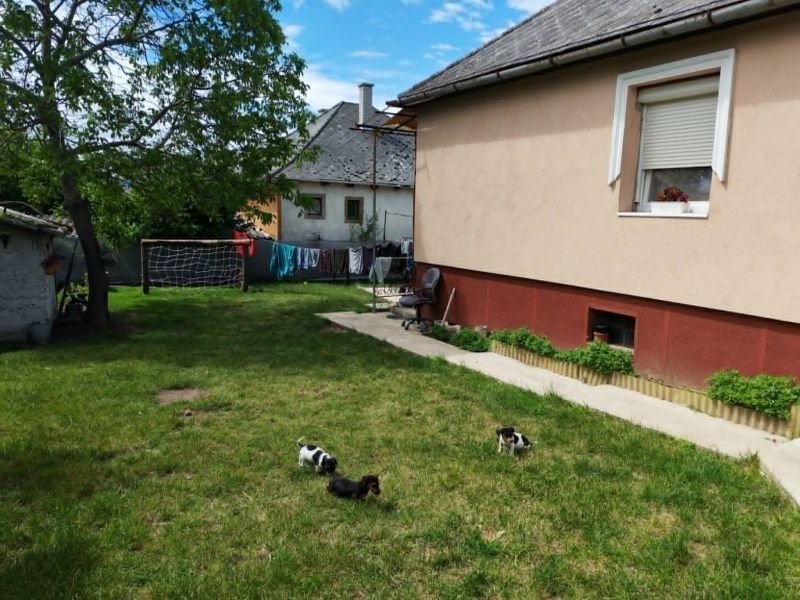 Nový inzerátRodinný dom v obľúbenej dedinke Boldogkőváralja v tichom, príjemnom prostredí – priamo pod hradom - Maďarsko - 14