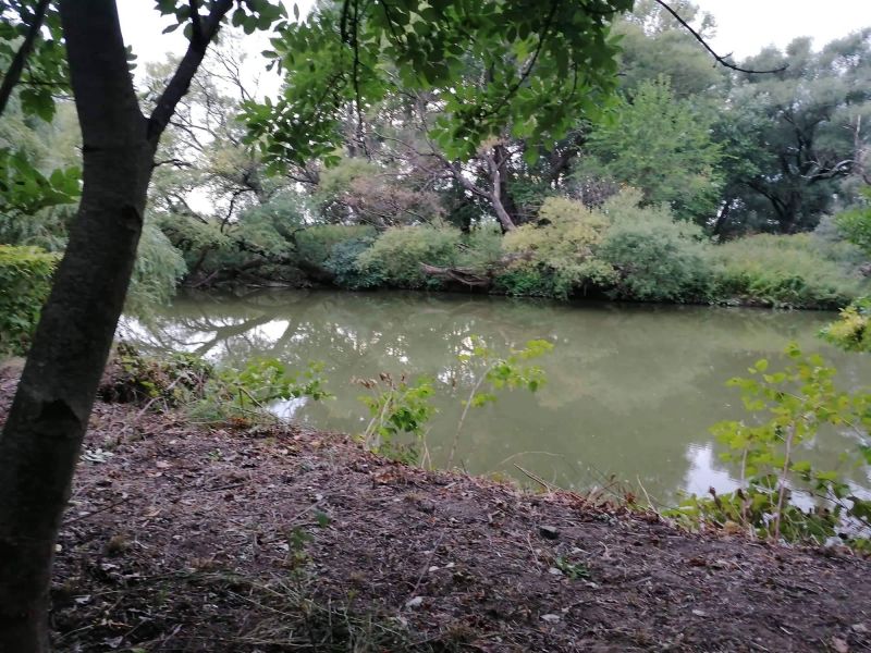 Ponúkame Vám na predaj rodinný dom v obci Pere - Maďarsko - 14