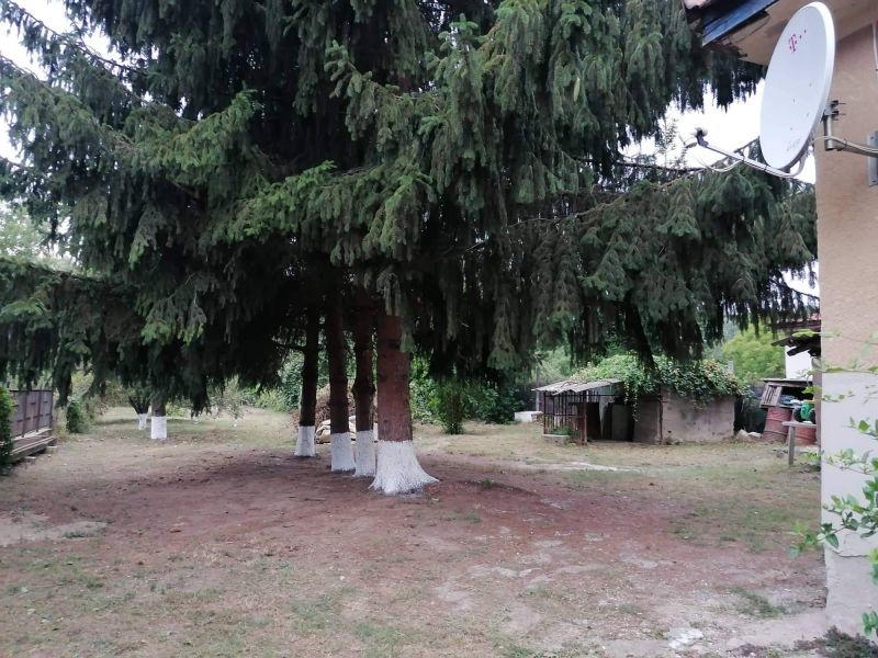 Ponúkame Vám na predaj rodinný dom v obci Pere - Maďarsko - 11