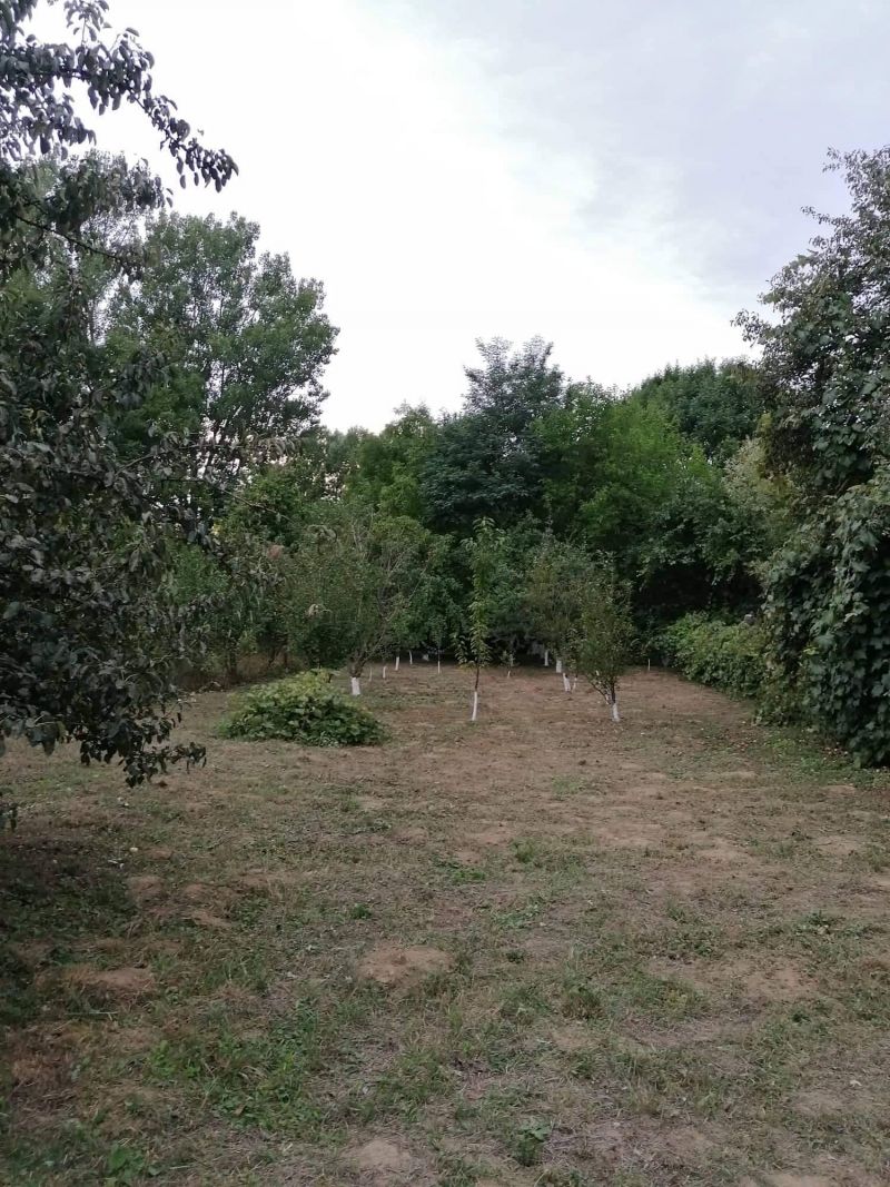 Ponúkame Vám na predaj rodinný dom v obci Pere - Maďarsko - 10