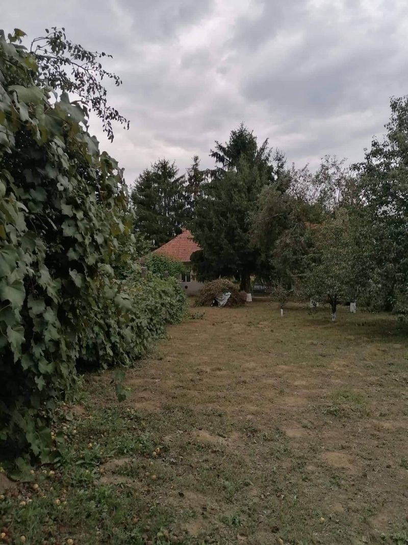 Ponúkame Vám na predaj rodinný dom v obci Pere - Maďarsko - 9