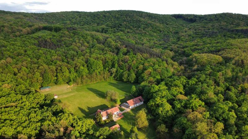 Ponúkam Vám investičnú príležitosť - lesnú usadlosť, 17 570 m2 stavebná a rozvojová plocha v lese Nagybarca - Maďarsko - 10