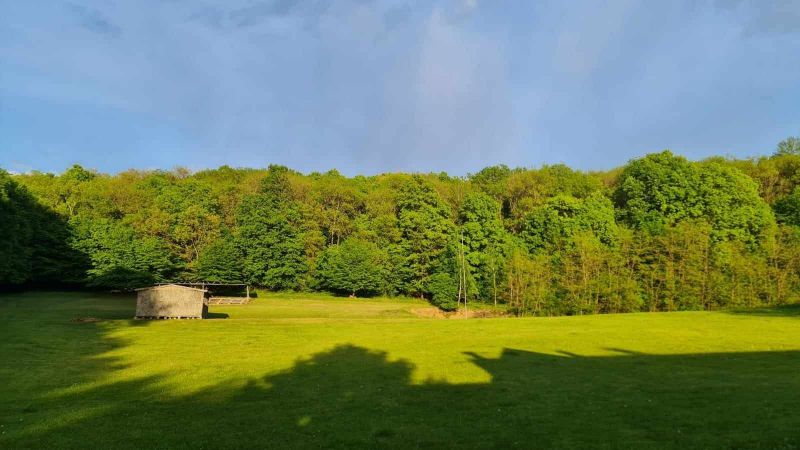 Ponúkam Vám investičnú príležitosť - lesnú usadlosť, 17 570 m2 stavebná a rozvojová plocha v lese Nagybarca - Maďarsko - 11