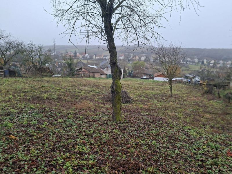 Ponúkame Vám na predaj vidiecky dom v obci Szalaszend - Maďarsko - 19