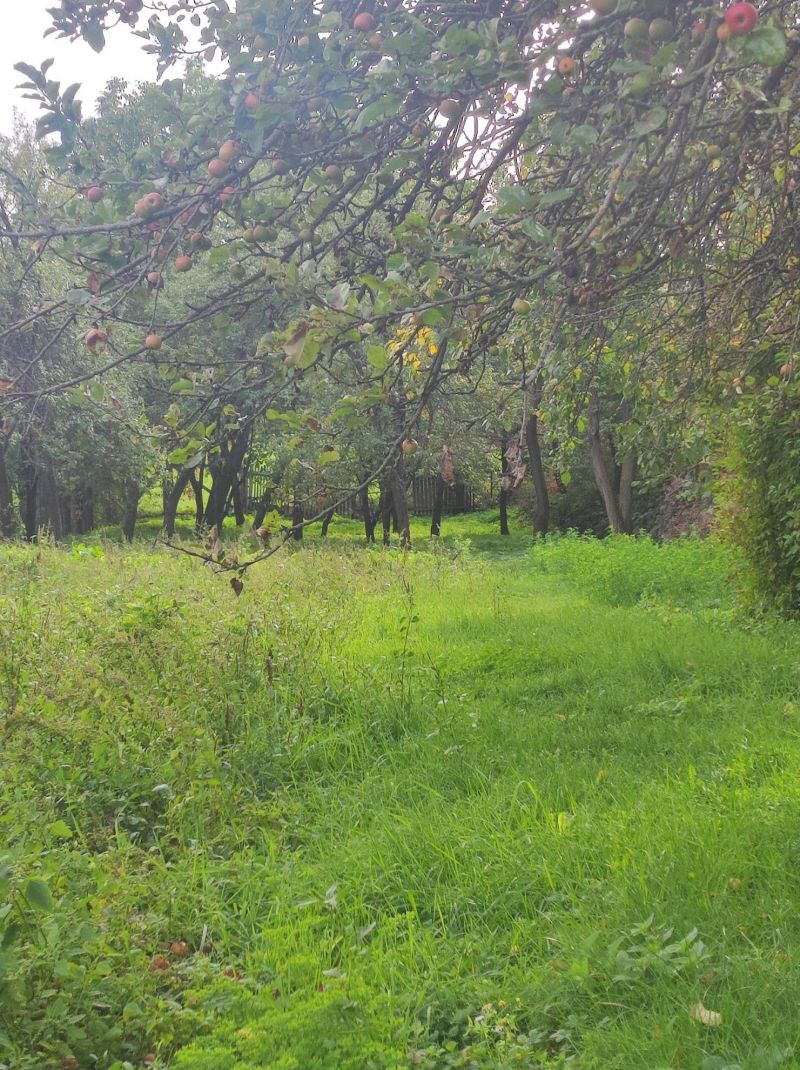 Ponúkame Vám na predaj rodinný dom v mestečku Gönc - Maďarsko - 14