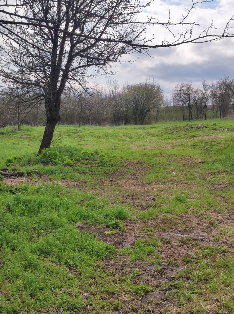Ponúkame Vám na predaj rodinný dom v obci Szalaszend - Maďarsko - 15
