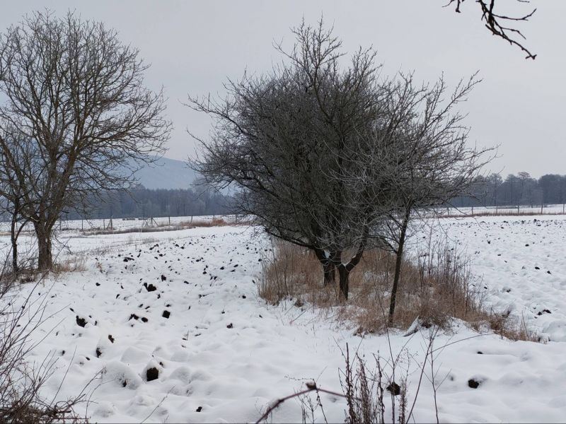 Ponúkame Vám na predaj rodinný dom v obci Komjáti - Maďarsko - 6