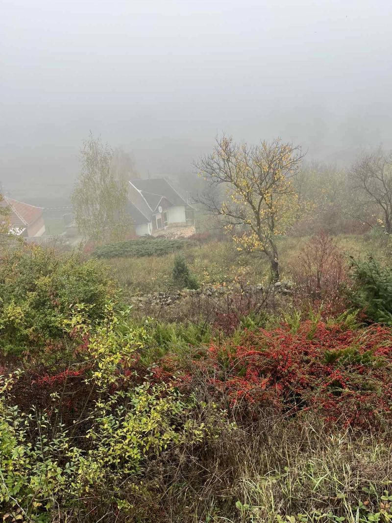 Ponúkam Vám na predaj rodinný dom v Abaújszántó - Maďarsko - 12