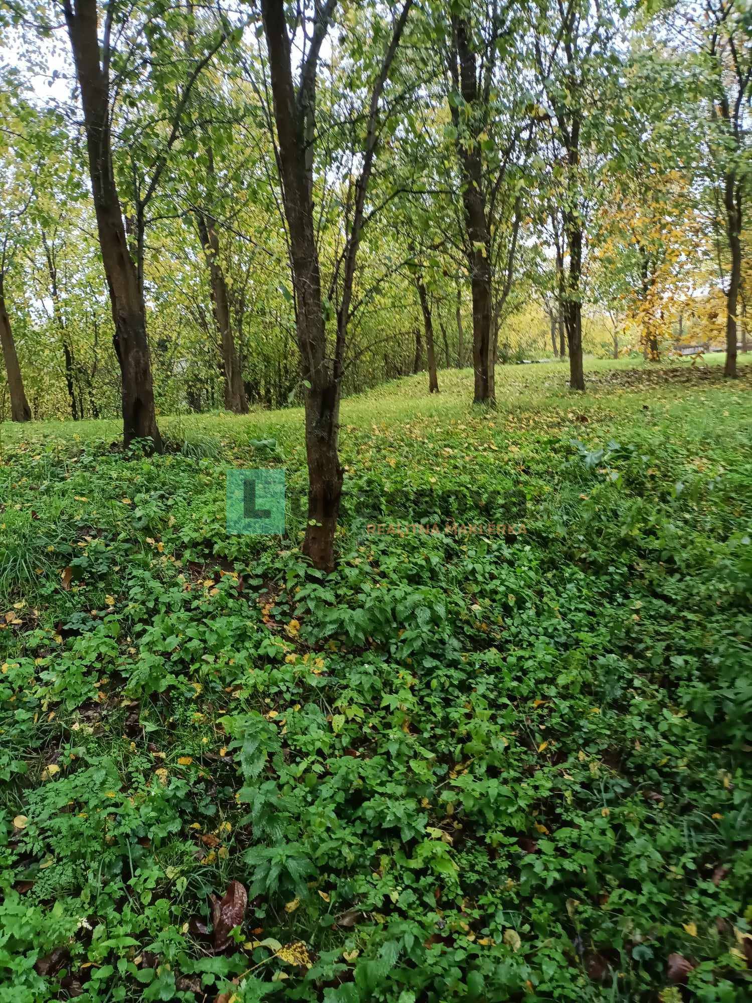 Ponúkam Vám na predaj pozemok v obci Abaújvár